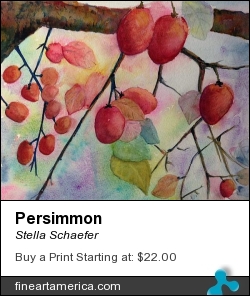 Persimmon by Stella Schaefer - Painting - Watercolor