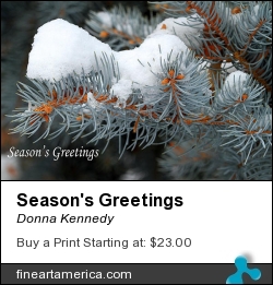 Season's Greetings by Donna Kennedy - Photograph - Photograph