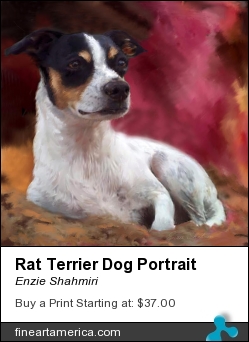 Rat Terrier Dog Portrait by Enzie Shahmiri - Painting - Painting