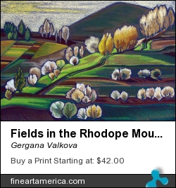 Fields In The Rhodope Mountains by Gergana Valkova - Painting - Soft Pastels On Black Paper