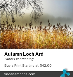 Autumn Loch Ard by Grant Glendinning - Photograph - Photograph