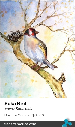 Saka Bird by Yavuz Saracoglu - Painting - Watercolor