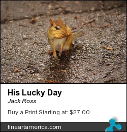 His Lucky Day by Jack Ross - Photograph