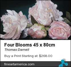 Four Blooms 45 X 80cm by Thomas Darnell - Painting - Oil On Canvas