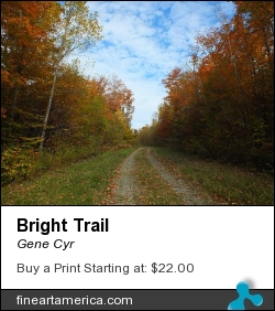 Bright Trail by Gene Cyr - Photograph - Photos