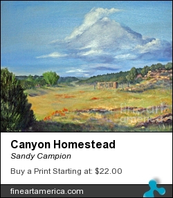 Canyon Homestead by Sandy Campion - Painting - Oil On Canvas