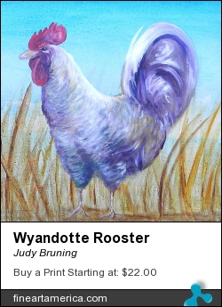 Wyandotte Rooster by Judy Bruning - Painting
