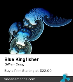 Blue Kingfisher by Gillian Craig - Painting - Digital - Fractal