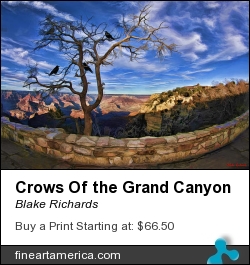 Crows Of The Grand Canyon by Blake Richards - Photograph - Photography