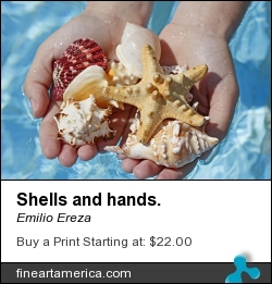 Shells And Hands. by Emilio Ereza - Photograph - Photographs