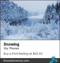 Snowing by Gry Thunes - Photograph