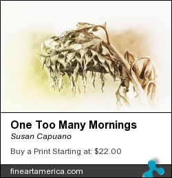 One Too Many Mornings by Susan Capuano - Photograph - Photography
