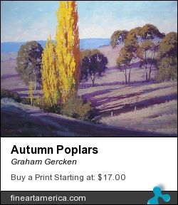 Autumn Poplars by Graham Gercken - Painting - Oil On Canvas