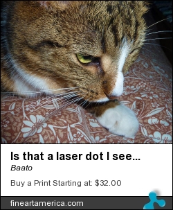 Is That A Laser Dot I See Before Me? by Baato - Photograph - Digital Photos And Art