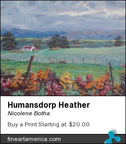 Humansdorp Heather by Nicolene Botha - Painting - Acrylics On Boxed Canvas