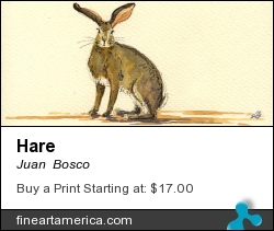 Hare by Juan  Bosco - Painting - Watercolor On Paper