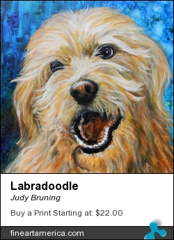 Labradoodle by Judy Bruning - Painting - Acrylic On Canvas
