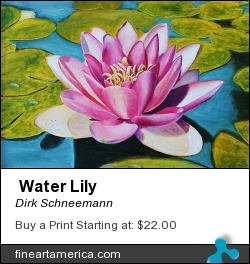 Water Lily by Dirk Schneemann - Painting - Oil On Canvas