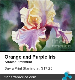 Orange And Purple Iris by Sharon Freeman - Painting - Watercolor On Paper