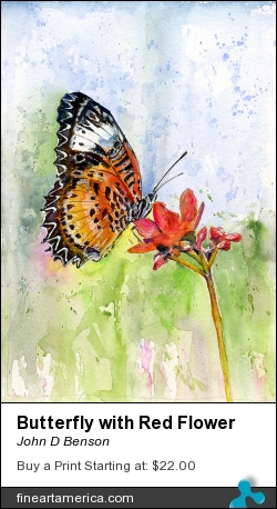 Butterfly With Red Flower by John D Benson - Painting - Watercolor