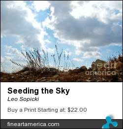 Seeding The Sky by Leo Sopicki - Photograph - Photography