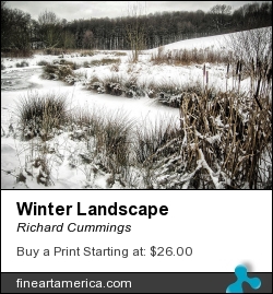 Winter Landscape by Richard Cummings - Photograph - Photograph