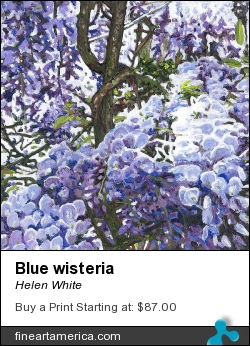Blue Wisteria by Helen White - Painting - Oil On Canvas