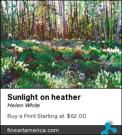 Sunlight On Heather by Helen White - Painting - Oil On Canvas