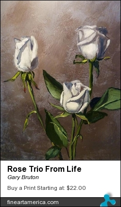 Rose Trio From Life by Gary Bruton - Painting - Acrylic On Panel
