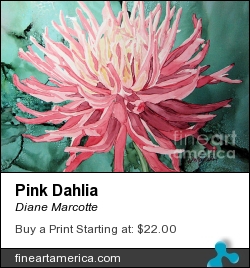 Pink Dahlia by Diane Marcotte - Painting - Alcohol Ink On Yupo