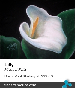 Lilly by Michael Foltz - Painting - Pastel On Paper