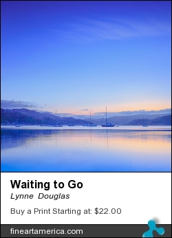 Waiting To Go by Lynne  Douglas - Photograph - Giclee Print