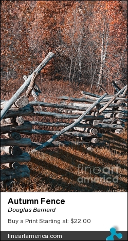 Autumn Fence by Douglas Barnard - Photograph - Digitally Enhanced Photographs