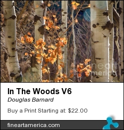 In The Woods V6 by Douglas Barnard - Photograph - Digitally Enhanced Photographs
