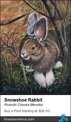 Snowshoe Rabbit by Ricardo Chavez-Mendez - Painting - Acrylic On Canvas