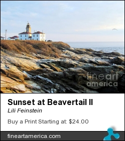 Sunset At Beavertail II by Lili Feinstein - Photograph - Photographic Print
