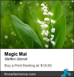 Magic Mai by Steffen Gierok - Pyrography - Photo