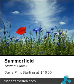 Summerfield by Steffen Gierok - Pyrography - Photo