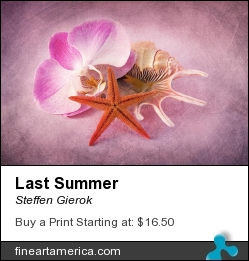 Last Summer by Steffen Gierok - Pyrography - Photo
