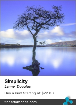 Simplicity by Lynne  Douglas - Photograph - Giclee Print