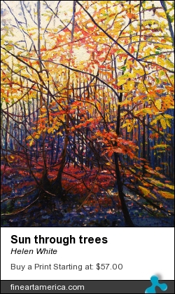 Sun Through Trees by Helen White - Painting - Oil On Canvas