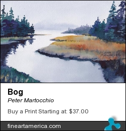 Bog by Peter Martocchio - Painting - Watercolor