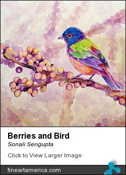 Berries And Bird by Sonali Sengupta - Painting - Watercolor