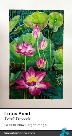 Lotus Pond by Sonali Sengupta - Painting - Watercolor