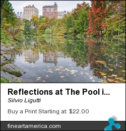 Reflections At The Pool In Central Park by Silvio Ligutti - Photograph - Photography