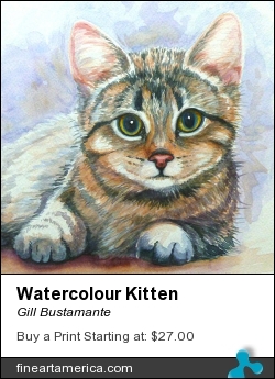 Watercolour Kitten by Gill Bustamante - Painting - Oil On Canvas