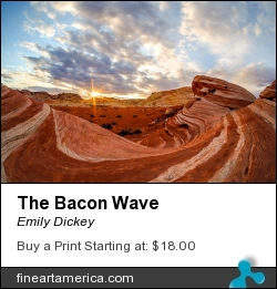 The Bacon Wave by Emily Dickey - Photograph - Photograph