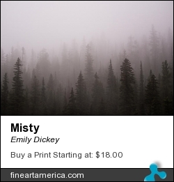 Misty by Emily Dickey - Photograph - Photograph