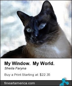My Window. My World. by Sheila Faryna - Photograph