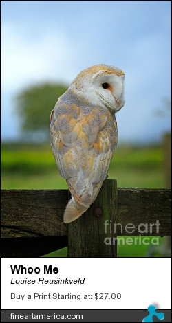 Whoo Me by Louise Heusinkveld - Photograph - Photograph